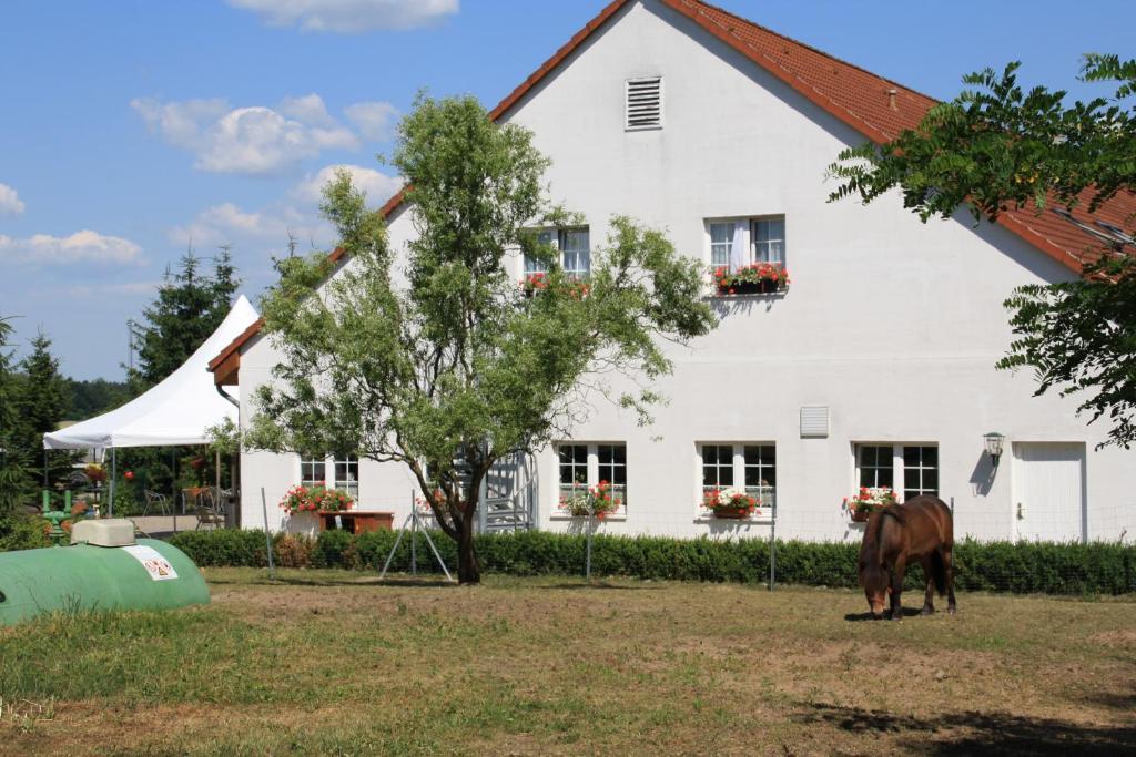Hotel-Pension Am Muehlberg Luebbenau Room photo